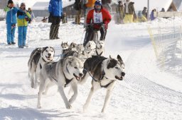 Lenk 2012 SM